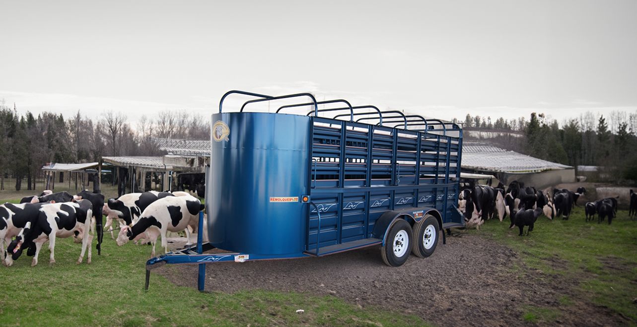 WhatsApp Image 2023-09-26 at 7.24